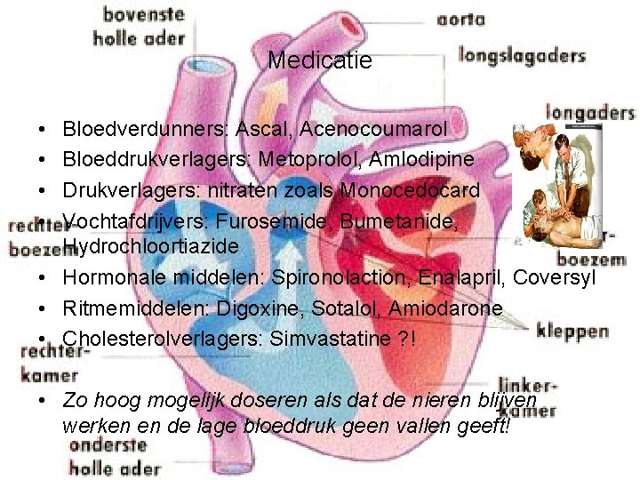 Medicatie • • Bloedverdunners: Ascal, Acenocoumarol Bloeddrukverlagers: Metoprolol, Amlodipine Drukverlagers: nitraten zoals Monocedocard Vochtafdrijvers: