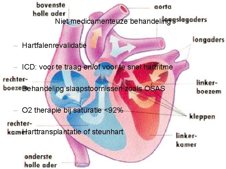 Niet medicamenteuze behandeling – Hartfalenrevalidatie – ICD: voor te traag en/of voor te snel