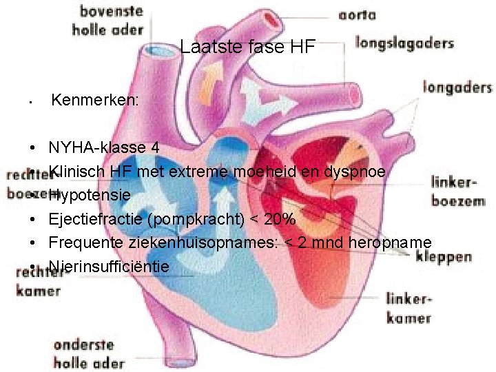 Laatste fase HF • Kenmerken: • • • NYHA-klasse 4 Klinisch HF met extreme