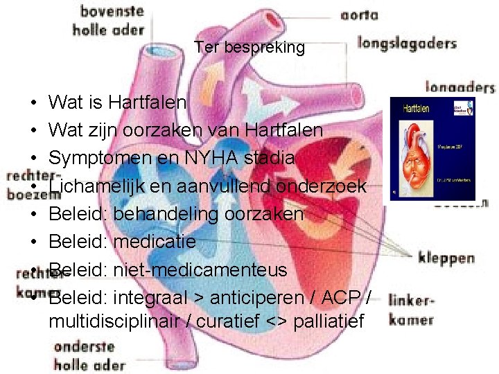 Ter bespreking • • Wat is Hartfalen Wat zijn oorzaken van Hartfalen Symptomen en