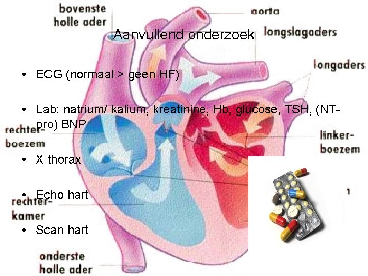 Aanvullend onderzoek • ECG (normaal > geen HF) • Lab: natrium/ kalium, kreatinine, Hb,