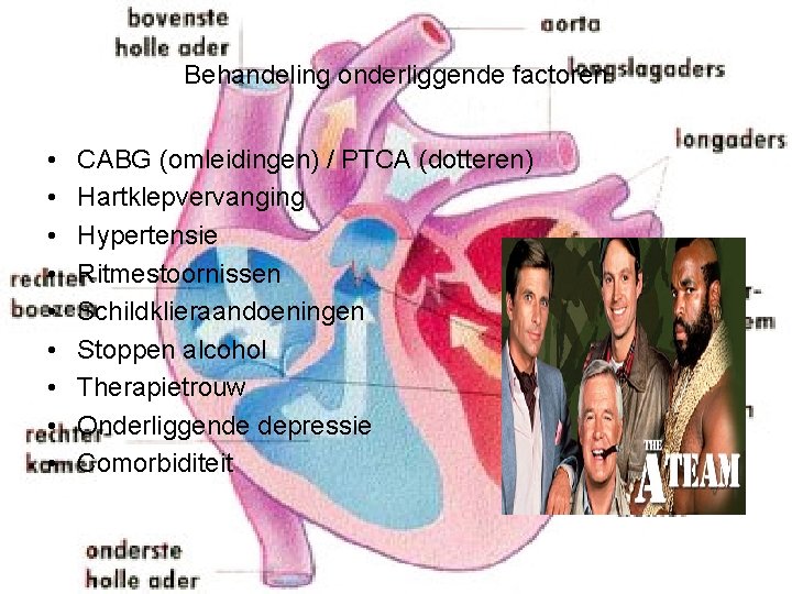 Behandeling onderliggende factoren • • • CABG (omleidingen) / PTCA (dotteren) Hartklepvervanging Hypertensie Ritmestoornissen