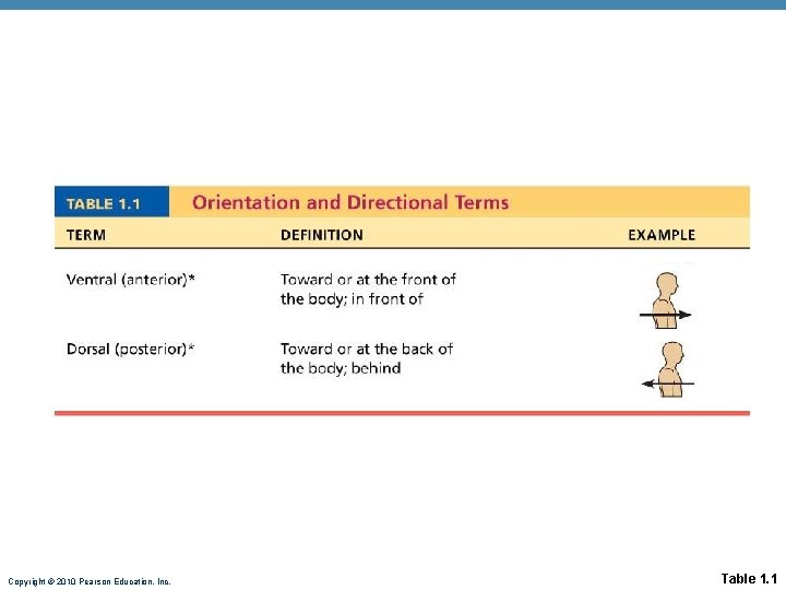 Copyright © 2010 Pearson Education, Inc. Table 1. 1 