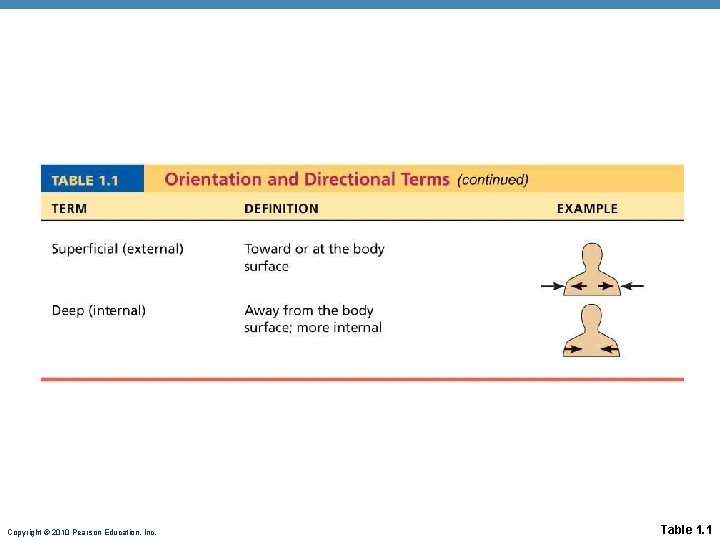 Copyright © 2010 Pearson Education, Inc. Table 1. 1 