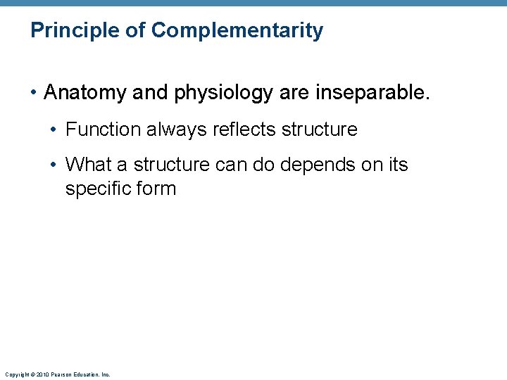 Principle of Complementarity • Anatomy and physiology are inseparable. • Function always reflects structure