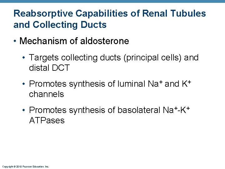 Reabsorptive Capabilities of Renal Tubules and Collecting Ducts • Mechanism of aldosterone • Targets