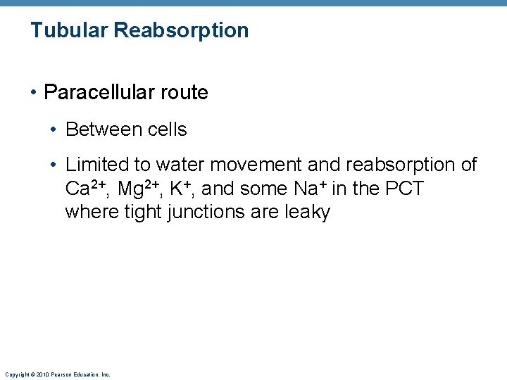 Tubular Reabsorption • Paracellular route • Between cells • Limited to water movement and