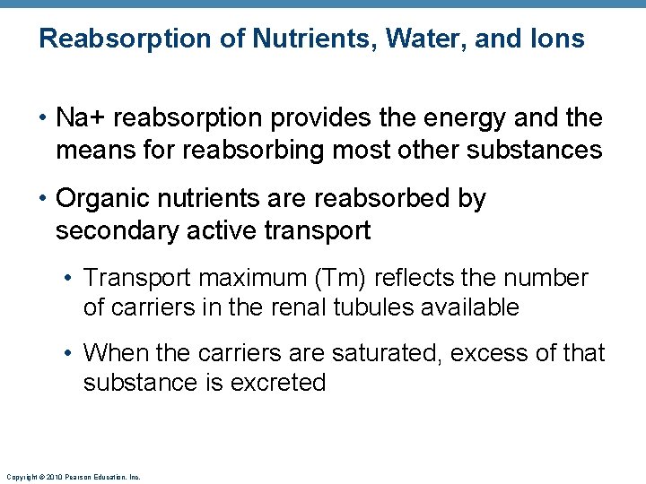 Reabsorption of Nutrients, Water, and Ions • Na+ reabsorption provides the energy and the