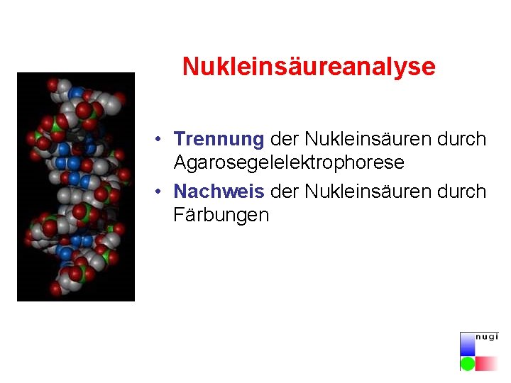 Nukleinsäureanalyse • Trennung der Nukleinsäuren durch Agarosegelelektrophorese • Nachweis der Nukleinsäuren durch Färbungen Nukleinsäureanalyse • Trennung der Nukleinsäuren durch Agarosegelelektrophorese • Nachweis der Nukleinsäuren durch Färbungen