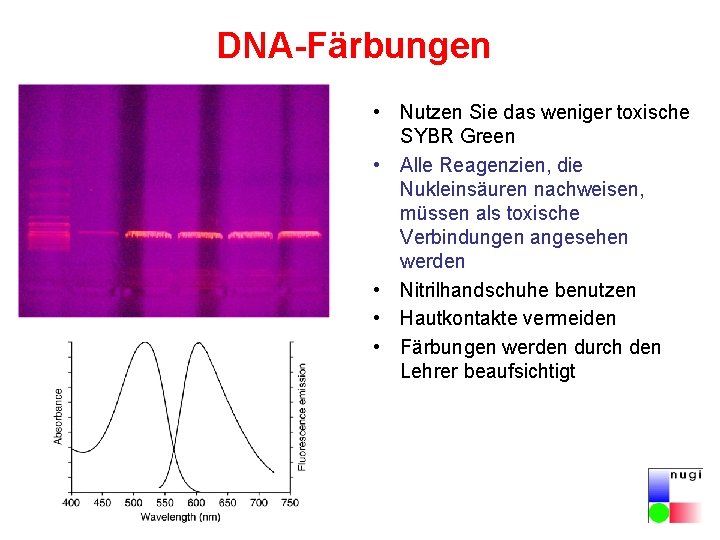 DNA-Färbungen • Nutzen Sie das weniger toxische SYBR Green • Alle Reagenzien, die Nukleinsäuren