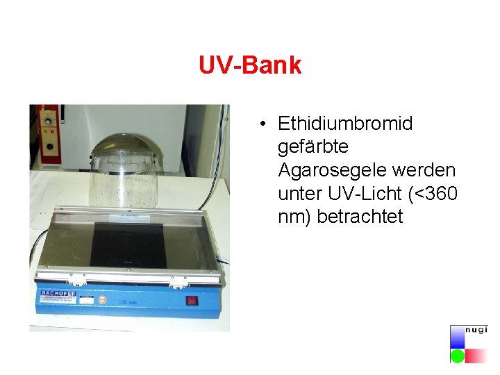 UV-Bank • Ethidiumbromid gefärbte Agarosegele werden unter UV-Licht (<360 nm) betrachtet 