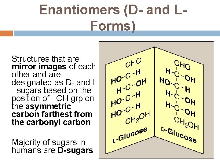 Enantiomers (D- and LForms) Structures that are mirror images of each other and are