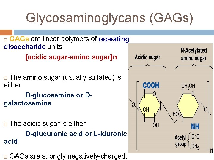 Glycosaminoglycans (GAGs) GAGs are linear polymers of repeating disaccharide units [acidic sugar-amino sugar]n The
