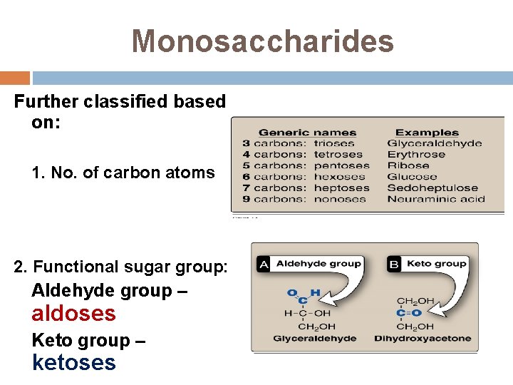 Monosaccharides Further classified based on: 1. No. of carbon atoms 2. Functional sugar group: