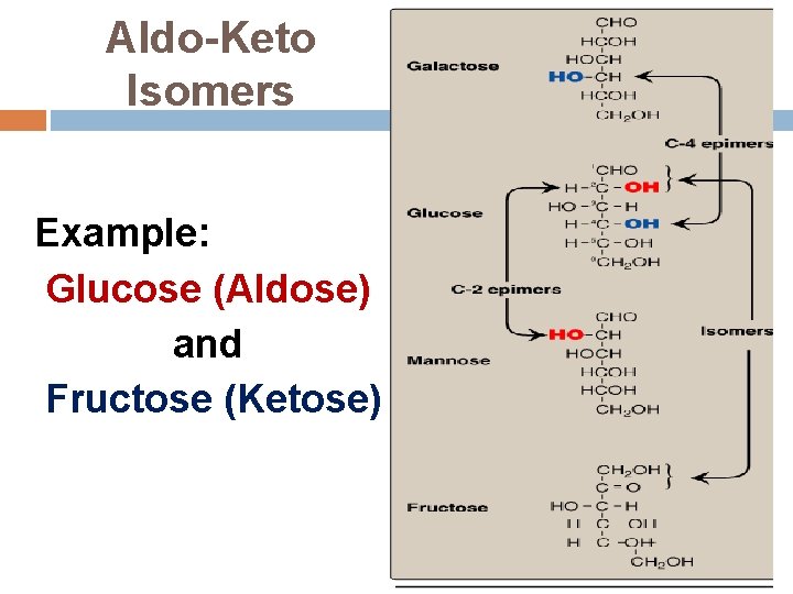 Aldo-Keto Isomers Example: Glucose (Aldose) and Fructose (Ketose) 