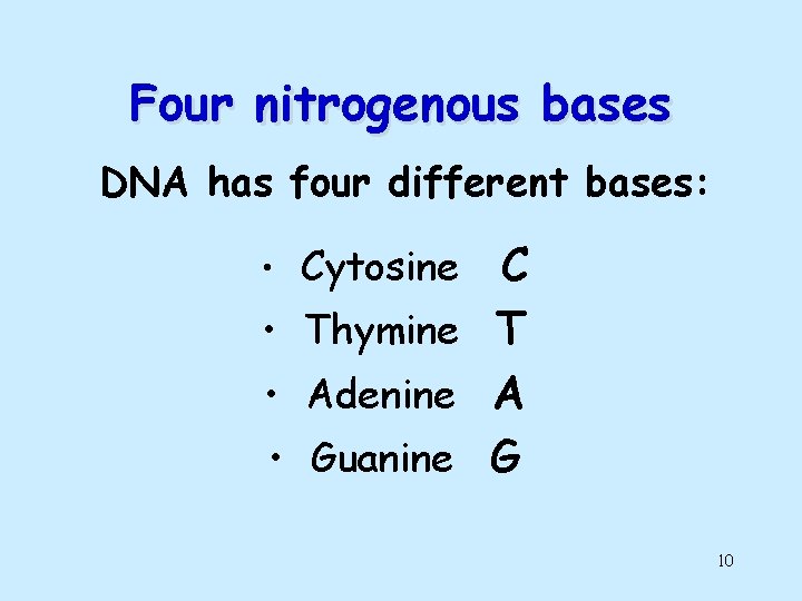 Four nitrogenous bases DNA has four different bases: C • Thymine T • Adenine