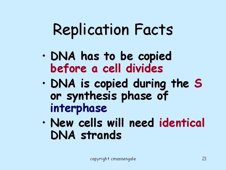 Replication Facts • DNA has to be copied before a cell divides • DNA