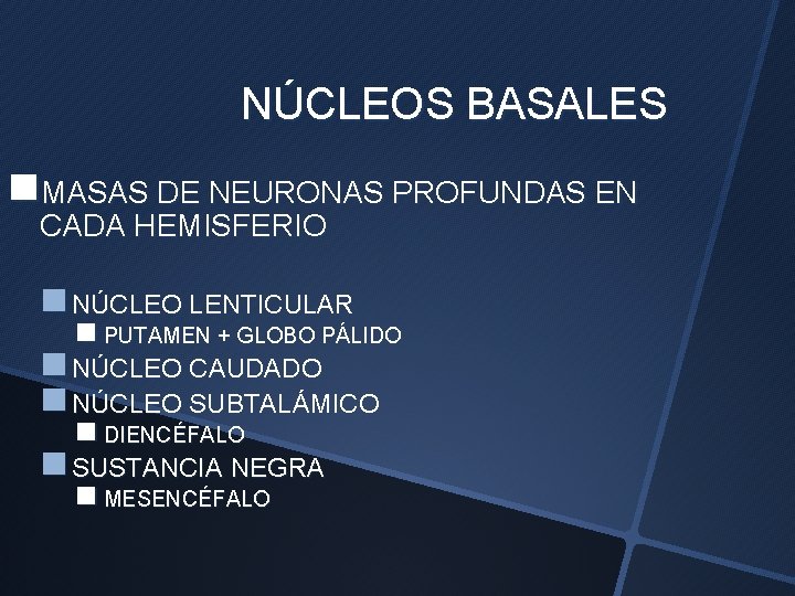 NÚCLEOS BASALES n. MASAS DE NEURONAS PROFUNDAS EN CADA HEMISFERIO n NÚCLEO LENTICULAR n