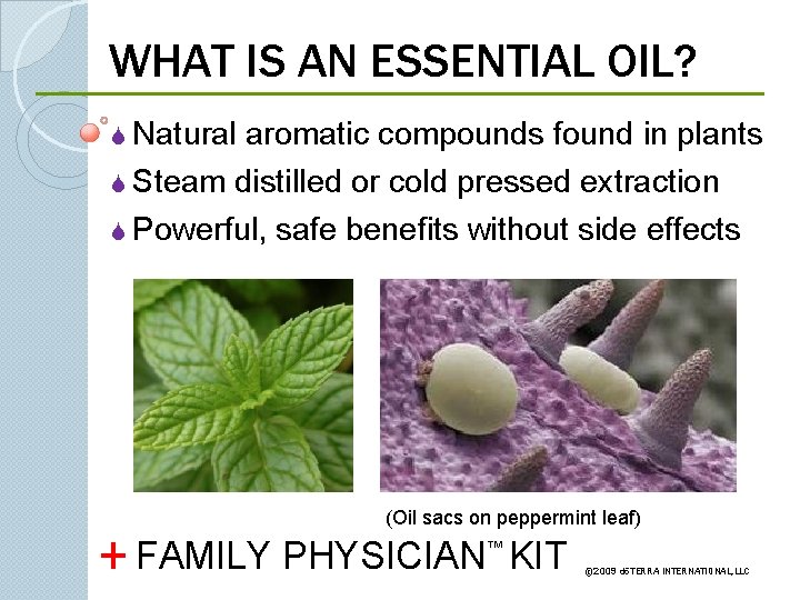 WHAT IS AN ESSENTIAL OIL? S Natural aromatic compounds found in plants S Steam