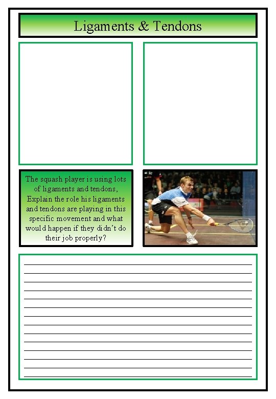 Ligaments & Tendons The squash player is using lots of ligaments and tendons, Explain Ligaments & Tendons The squash player is using lots of ligaments and tendons, Explain