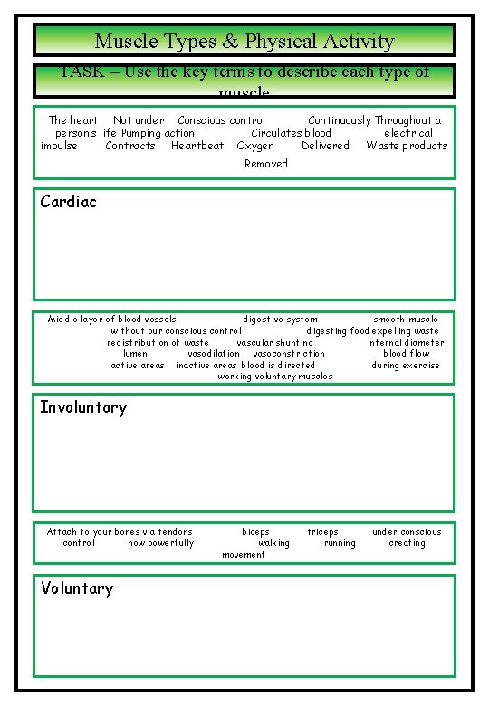 Muscle Types & Physical Activity TASK – Use the key terms to describe each Muscle Types & Physical Activity TASK – Use the key terms to describe each