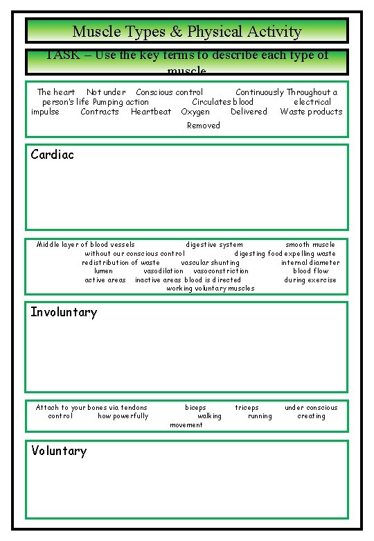 Muscle Types & Physical Activity TASK – Use the key terms to describe each