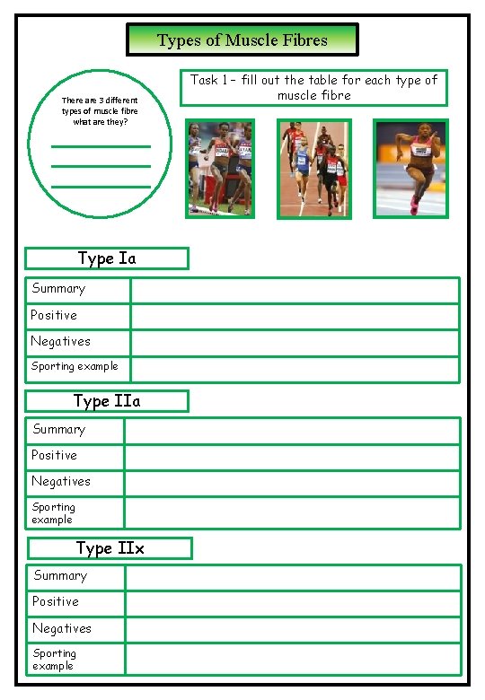 Types of Muscle Fibres There are 3 different types of muscle fibre what are