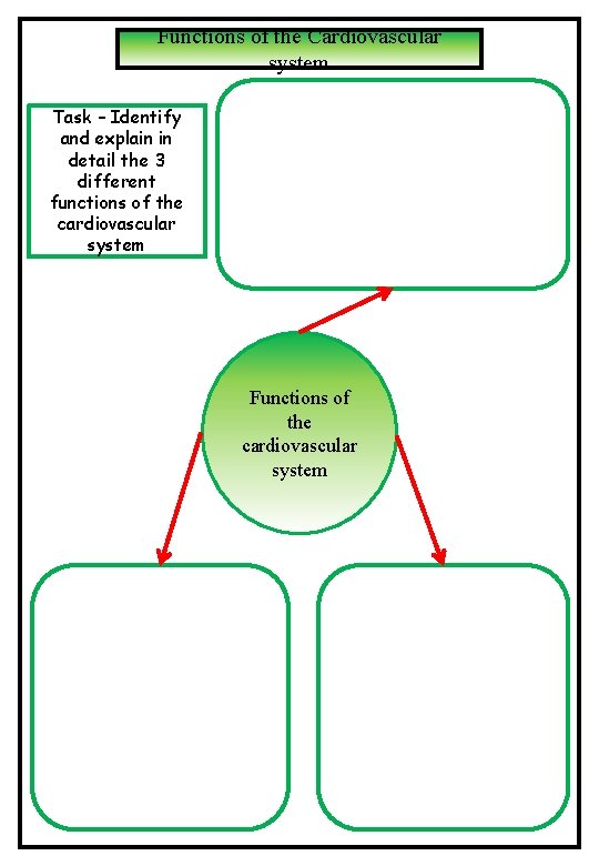 Functions of the Cardiovascular system Task – Identify and explain in detail the 3