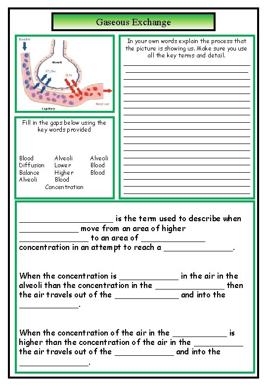 Gaseous Exchange Fill in the gaps below using the key words provided Blood Diffusion