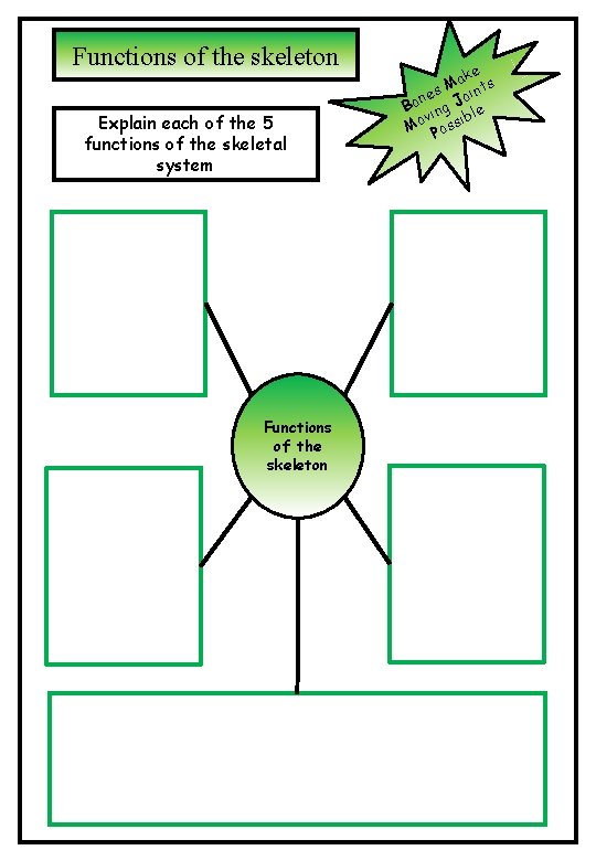 Functions of the skeleton Explain each of the 5 functions of the skeletal system Functions of the skeleton Explain each of the 5 functions of the skeletal system