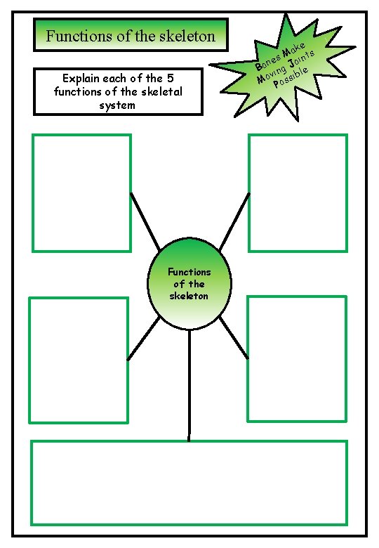 Functions of the skeleton Explain each of the 5 functions of the skeletal system