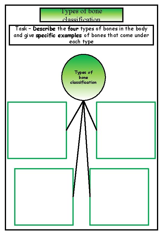 Types of bone classification Task – Describe the four types of bones in the Types of bone classification Task – Describe the four types of bones in the