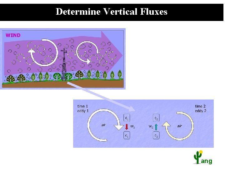 Determine Vertical Fluxes ang 