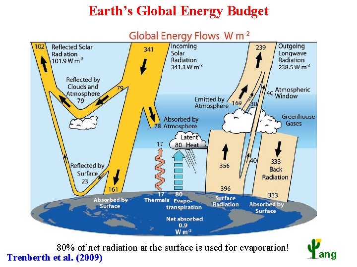 Earth’s Global Energy Budget 80% of net radiation at the surface is used for