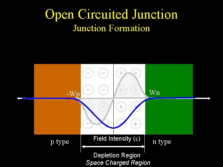 Open Circuited Junction Formation Wn -Wp p type Field Intensity ( ) Depletion Region