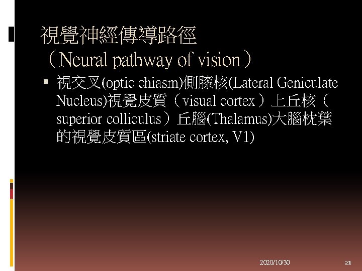 視覺神經傳導路徑 （Neural pathway of vision） 視交叉(optic chiasm)側膝核(Lateral Geniculate Nucleus)視覺皮質（visual cortex）上丘核（ superior colliculus）丘腦(Thalamus)大腦枕葉 的視覺皮質區(striate cortex,