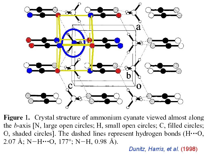 Dunitz, Harris, et al. (1998) 