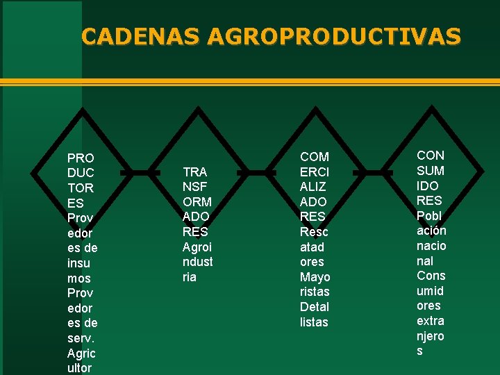 CADENAS AGROPRODUCTIVAS PRO DUC TOR ES Prov edor es de insu mos Prov edor