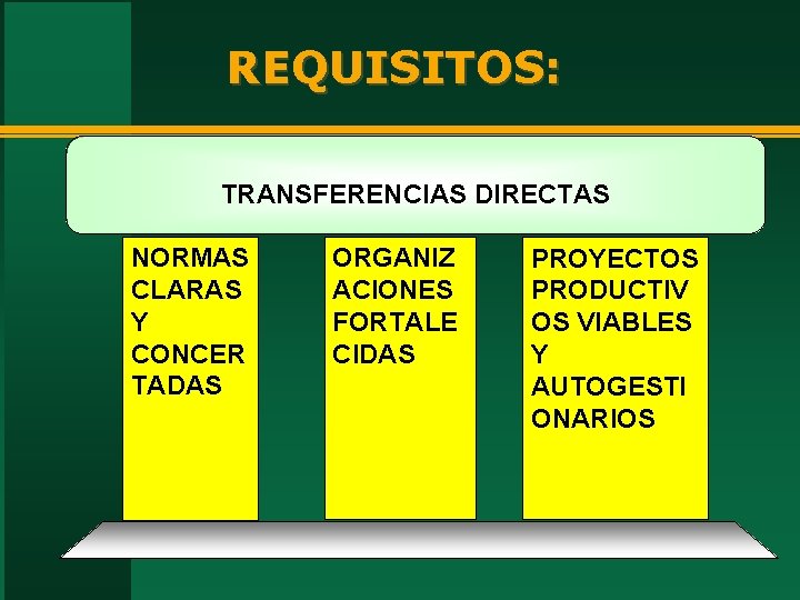 REQUISITOS: TRANSFERENCIAS DIRECTAS NORMAS CLARAS Y CONCER TADAS ORGANIZ ACIONES FORTALE CIDAS PROYECTOS PRODUCTIV