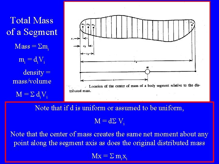Total Mass of a Segment Mass = mi mi = di. Vi density =