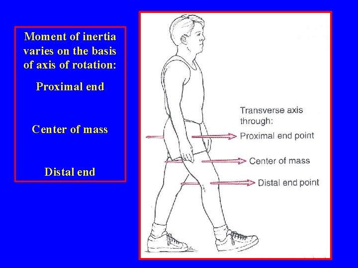 Moment of inertia varies on the basis of axis of rotation: Proximal end Center