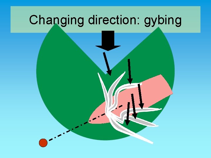 Changing direction: gybing 