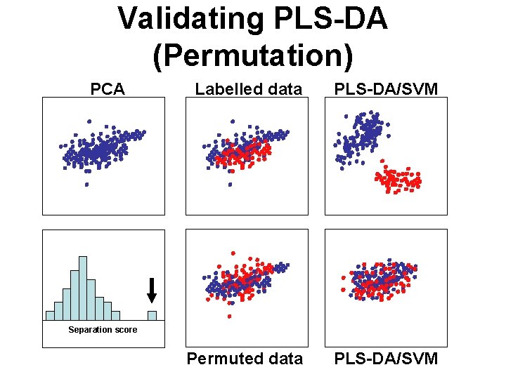 Validating PLS-DA (Permutation) PCA Labelled data PLS-DA/SVM Permuted data PLS-DA/SVM Separation score 