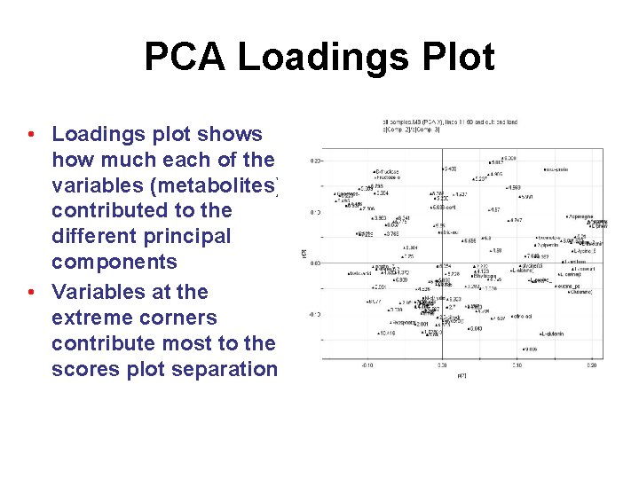 PCA Loadings Plot • Loadings plot shows how much each of the variables (metabolites)