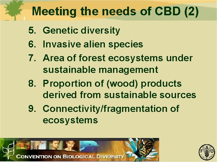 Meeting the needs of CBD (2) 5. Genetic diversity 6. Invasive alien species 7.