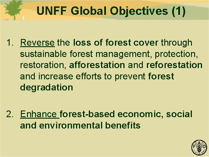 UNFF Global Objectives (1) 1. Reverse the loss of forest cover through sustainable forest