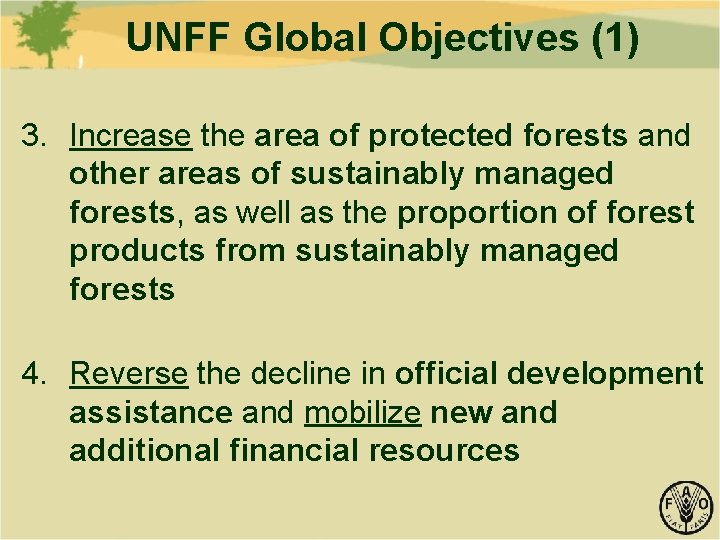 UNFF Global Objectives (1) 3. Increase the area of protected forests and other areas