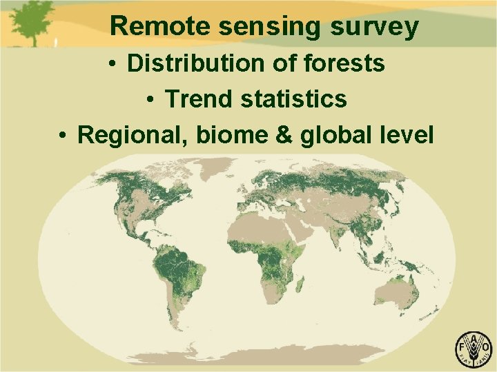 Remote sensing survey • Distribution of forests • Trend statistics • Regional, biome &