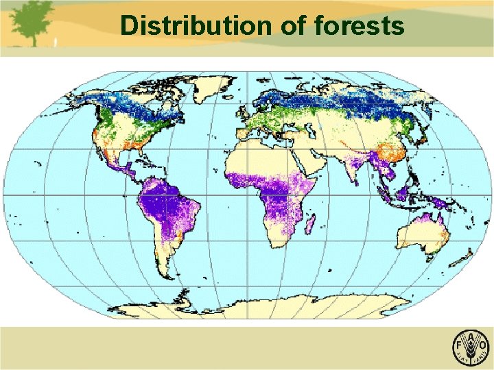 Distribution of forests 