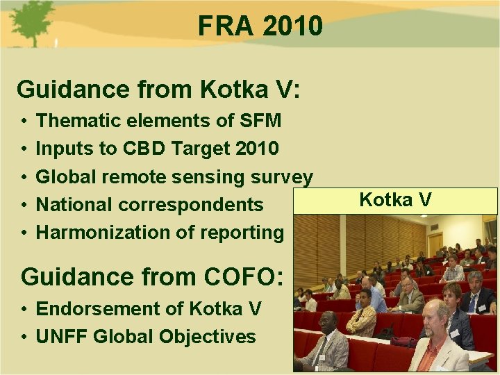 FRA 2010 Guidance from Kotka V: • • • Thematic elements of SFM Inputs